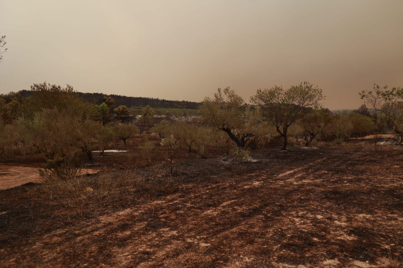 El incendio de Bejís, en imágenes