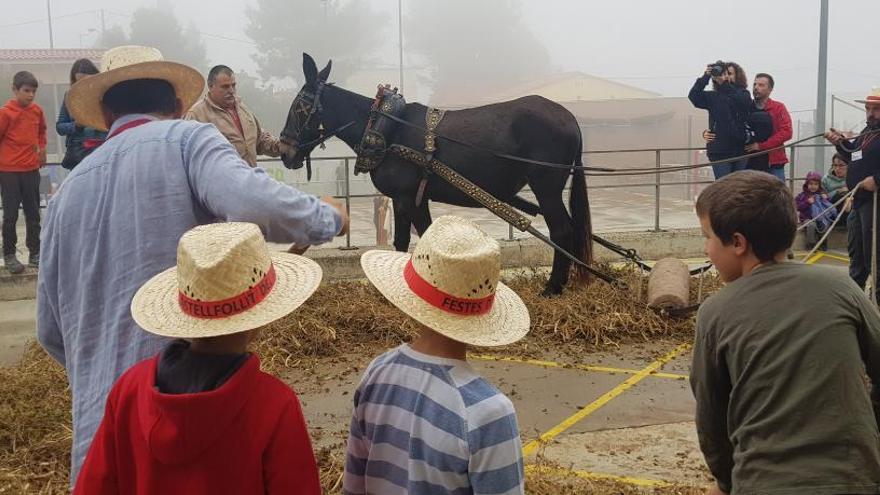 Una de les activitats de la primera edició de la fira