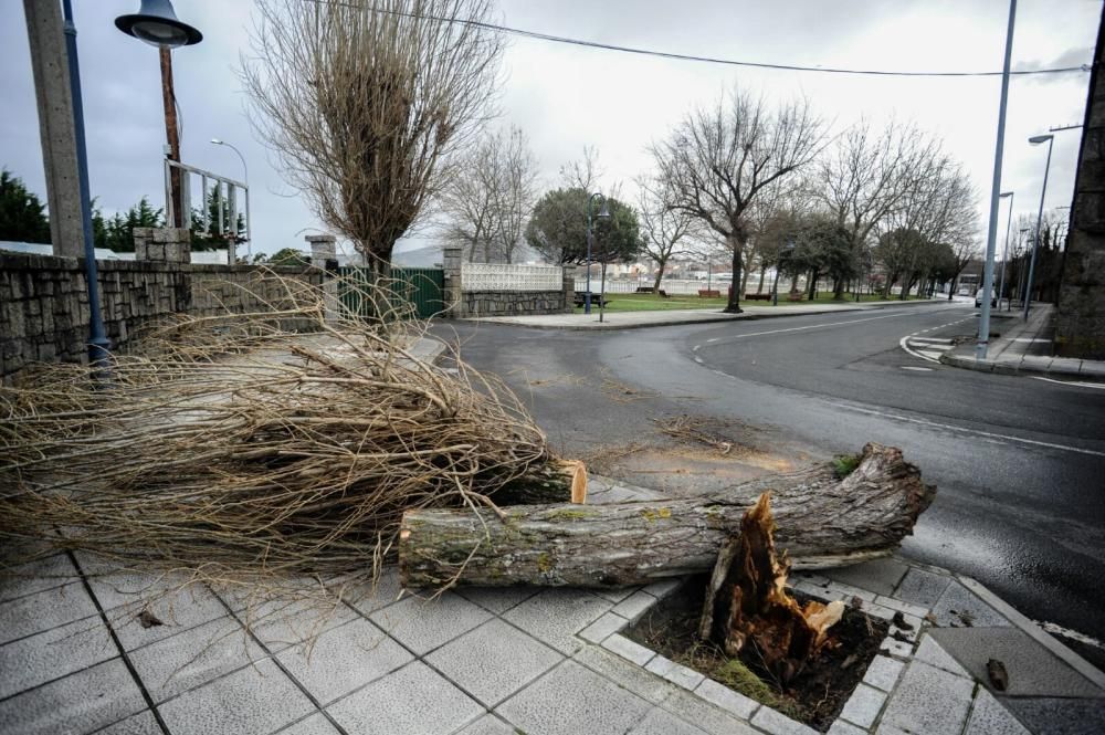 El temporal en Galicia en imágenes