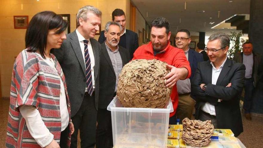 Antuña muestra un nido inactivo a Vázquez, Rueda, Tourís, López, Mourelo y Menor, ayer. // Bernabé / Cris M.V.