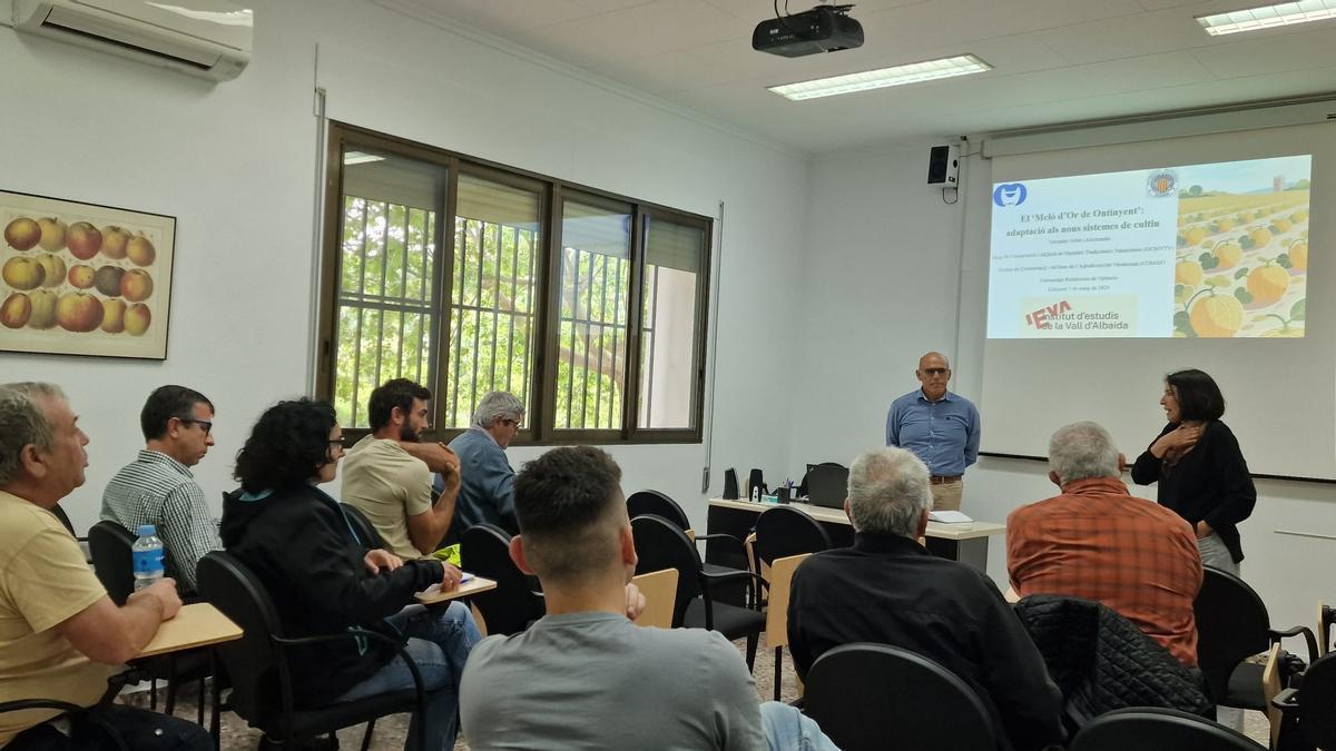Jornada sobre la adaptación del "meló d'or d'Ontinyent" a las nuevas formas de cultivo, en la estación experimental de Llutxent.