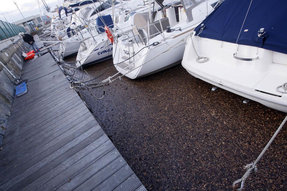 Tasques per retirar la biomassa al port de Palamós