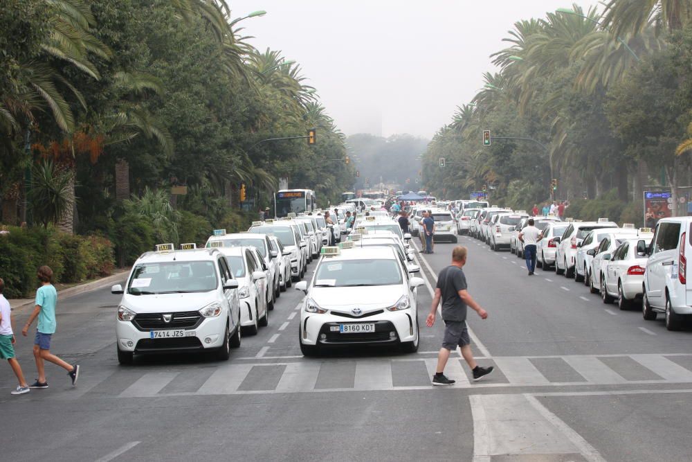 Los taxistas, acampados en el Paseo del Parque en una acción similar a las del Paseo de la Castellana de Madrid o la Gran Vía de Barcelona