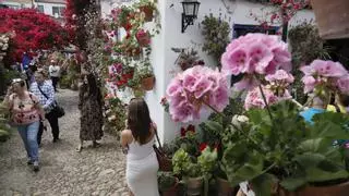 Un total de 52 patios abrirán sus puertas en Córdoba este mes de mayo