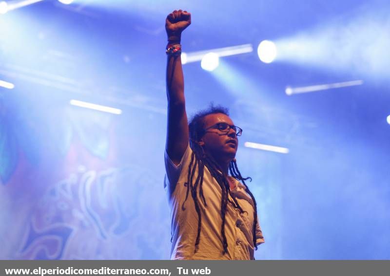 GALERÍA DE FOTOS- Cuarta Jornada del Rototom 2014