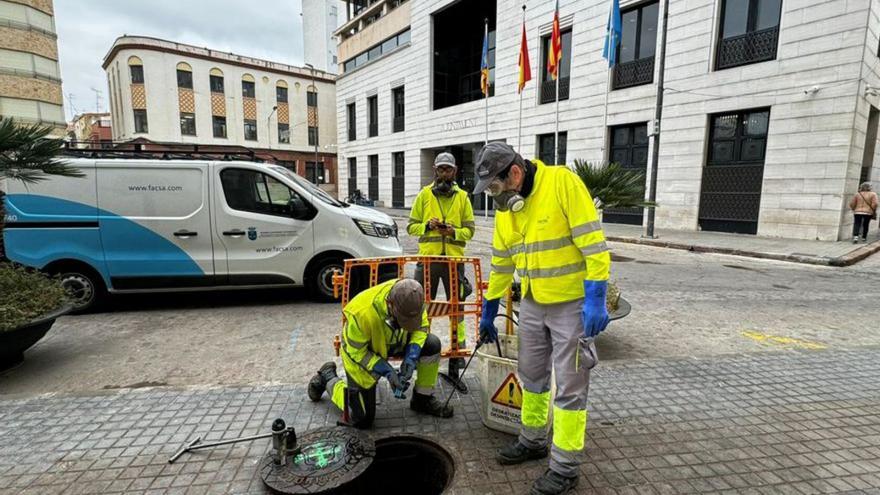 Burriana adelanta por el calor la campaña contra insectos