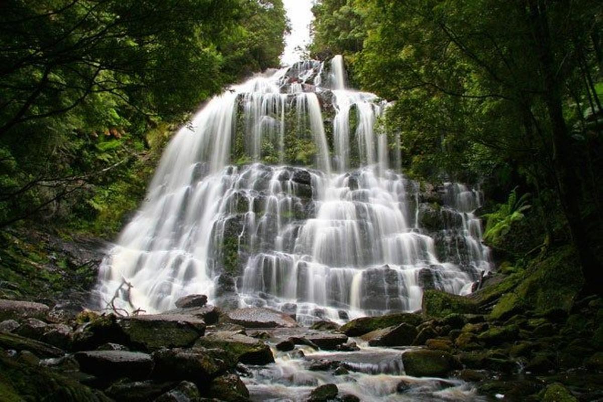 Cascada en la selva de Tasmania.