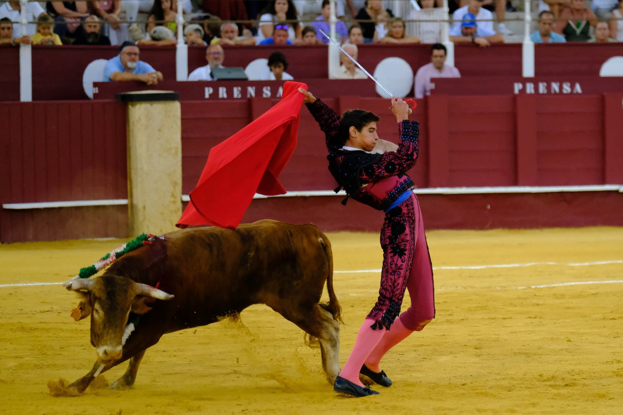 Toros en la Feria | Novena corrida de abono en La Malagueta: 3ª Semifinal de las Escuelas Taurinas