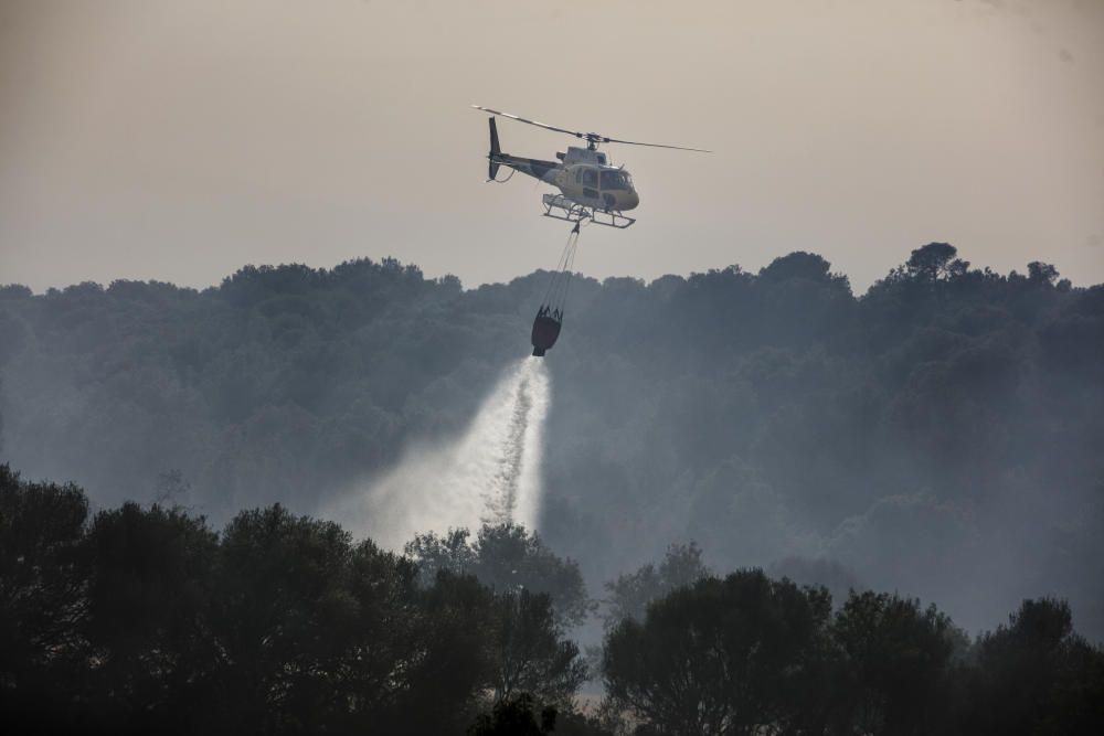 Alarma por un incendio forestal junto a la autopista de Llucmajor