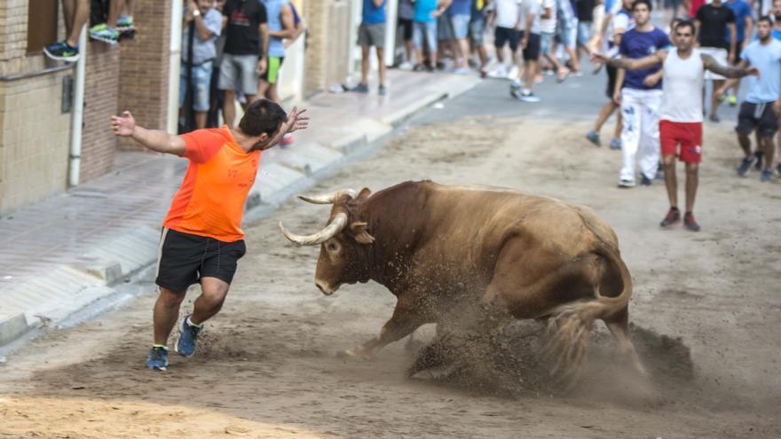 Los ‘bous al carrer’ regresan hoy tras 19 meses de suspensión por la pandemia