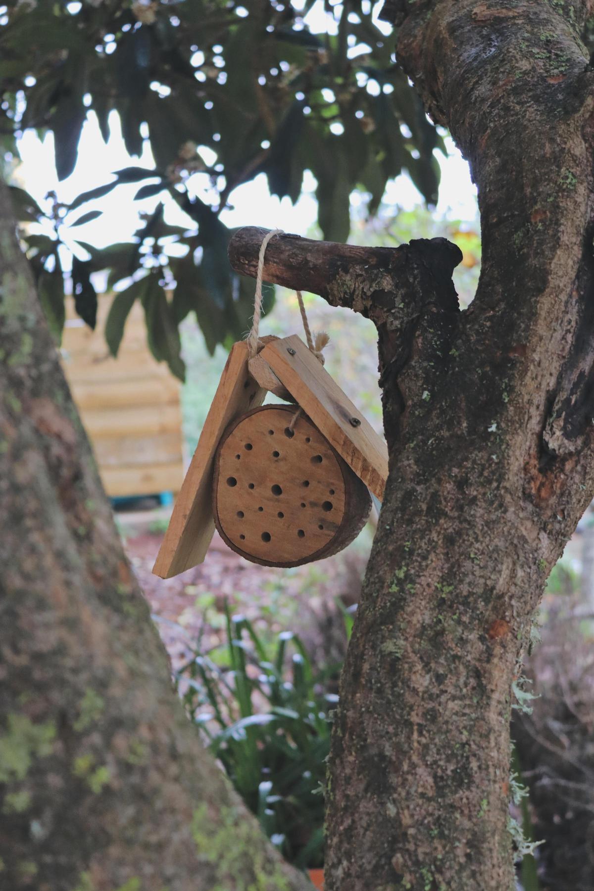 Uno de los troncos de árbol que sirve como hotel para las abejas solitarias.
