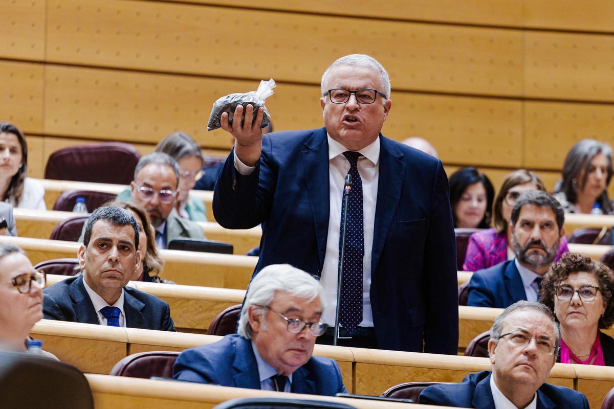 El senador 'popular' Francisco Bernabé.