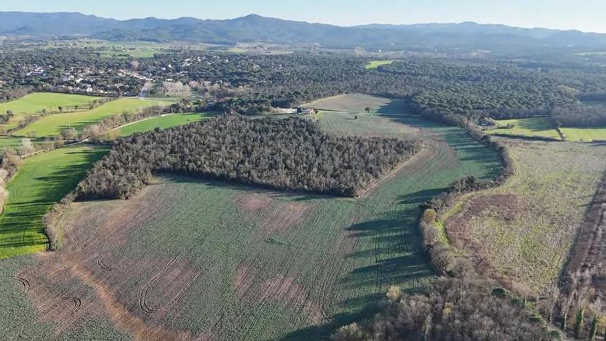 La Fundació Mona adquireix terrenys a Llagostera per fer-hi el trasllat del centre de Riudellots