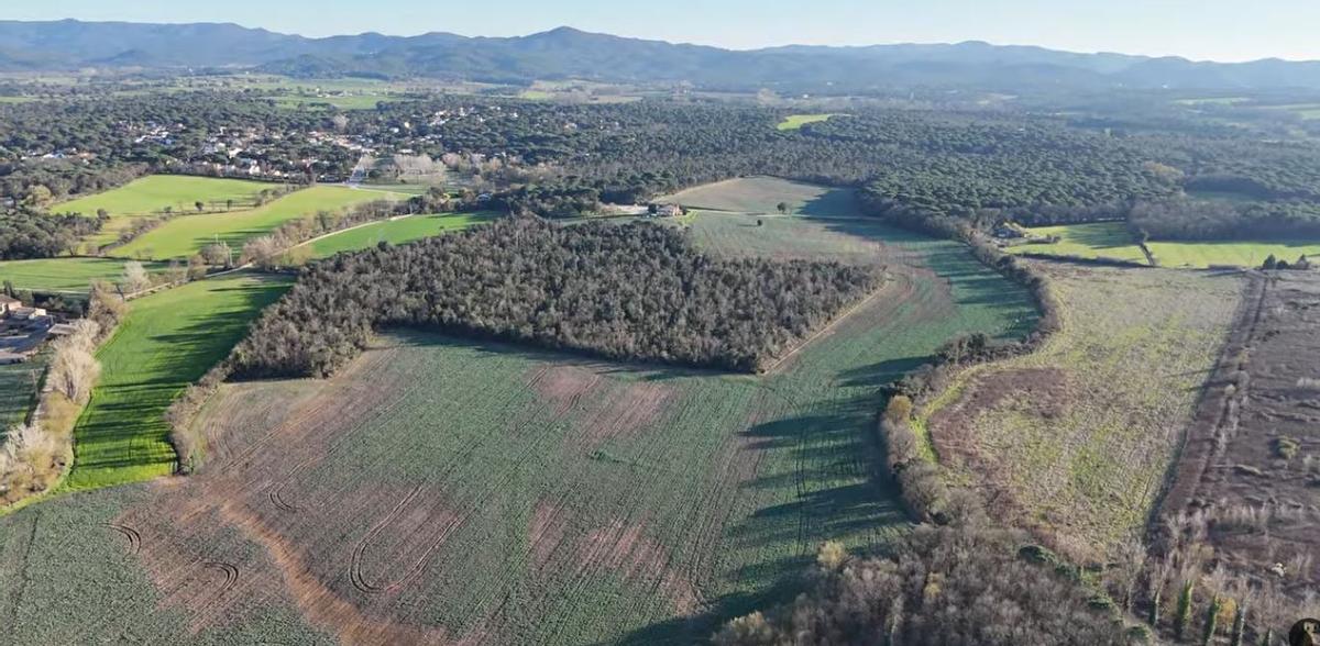 Vista aèria dels terrenys de Llagostera on la Fundació Mona vol impulsar el nou centre