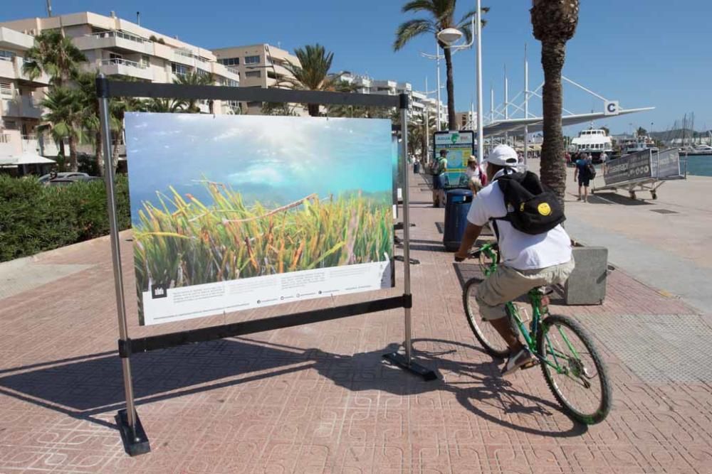 La campaña aborda varios campos, como el de la fotografía