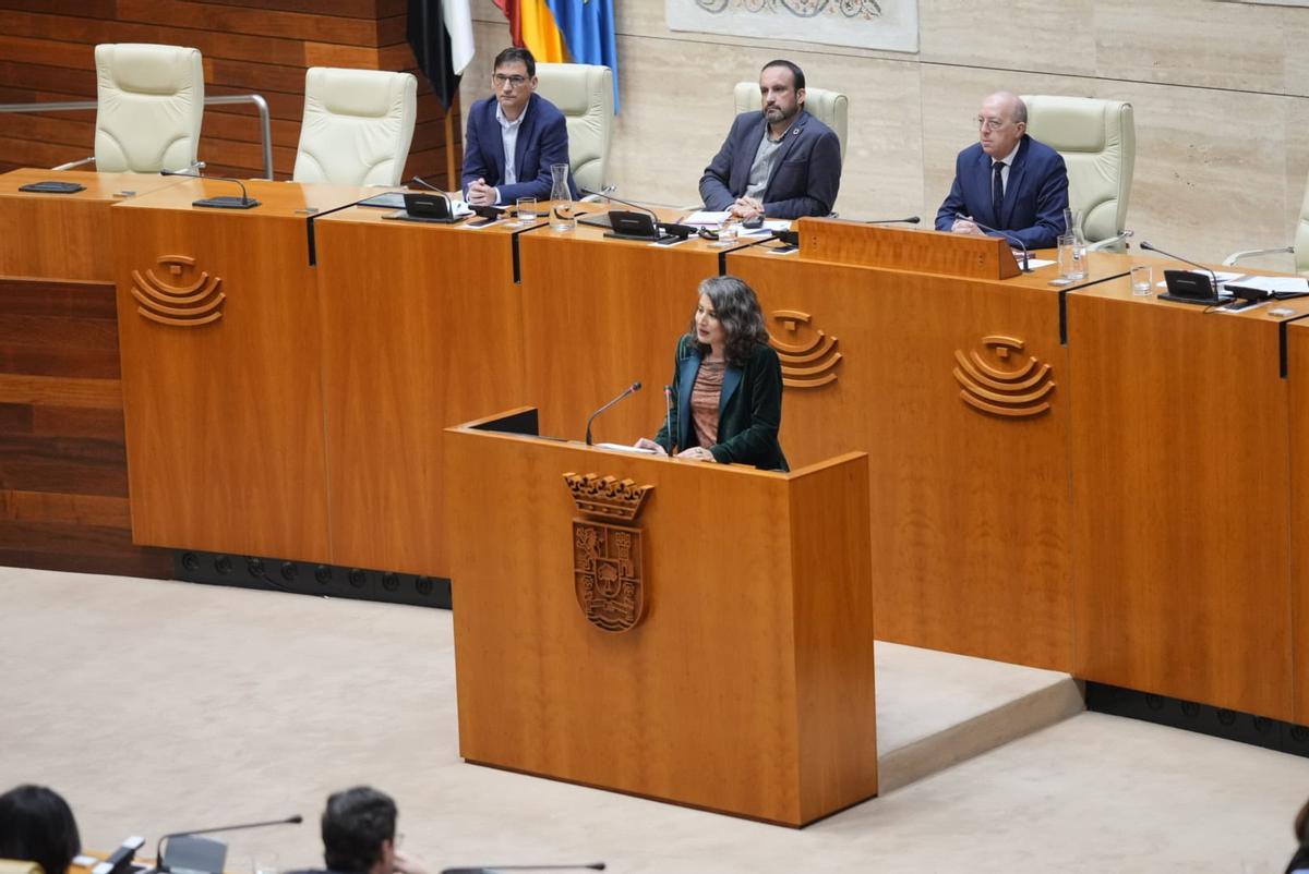 La portavoz de Unidas por Extremadura, Irene de Miguel, este miércoles.