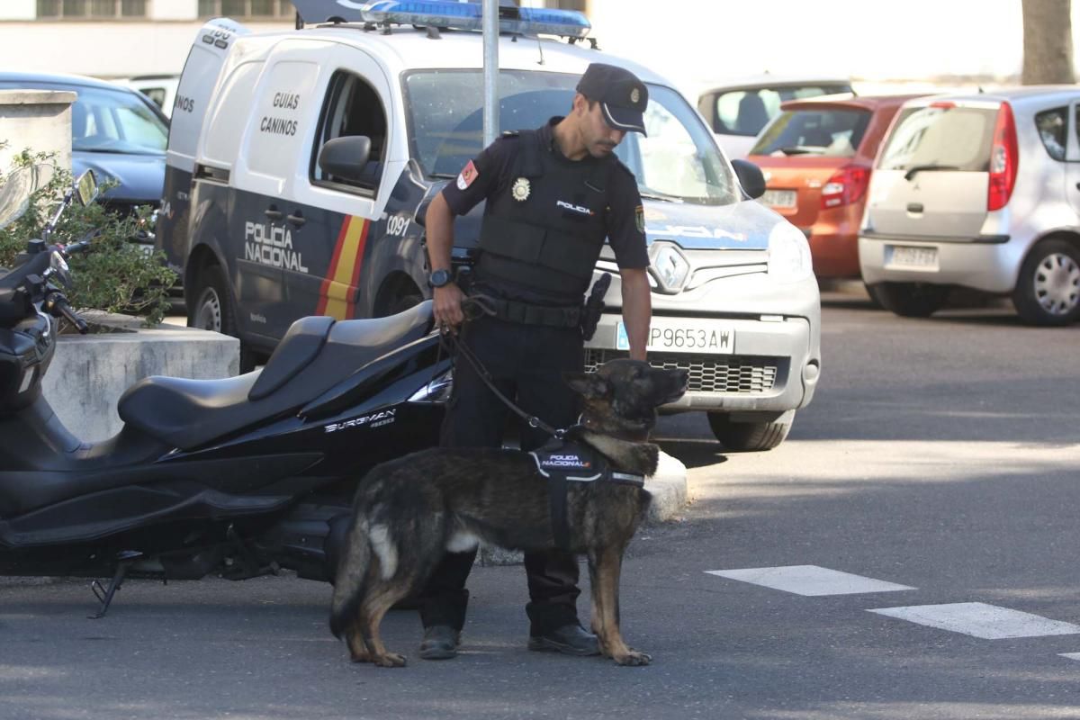 Festividad de los patronos de la Policía Nacional