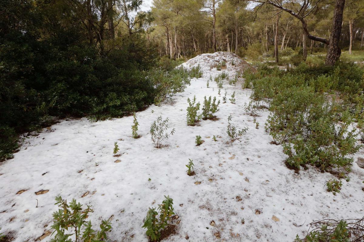 Granizo en la Talaia