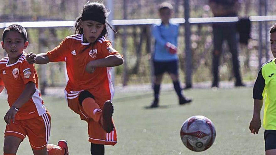 GALERÍA: Las mejores imágenes del Atletic Amistat - Torre Levante B de prebenjamín, en 'Tú Foto'