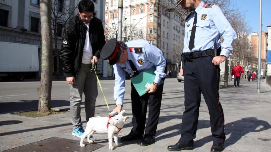 Els veterinaris gironins cedeixen lectors de microxip als mossos