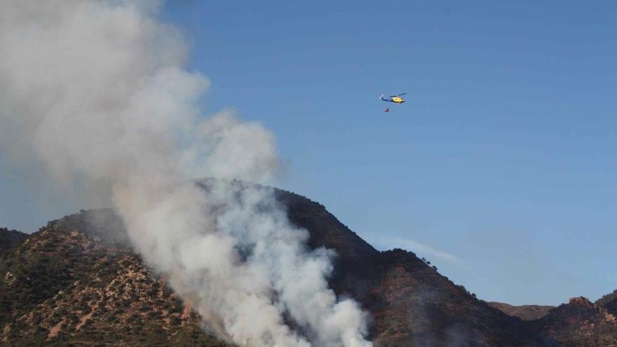 Condenado a 4 meses por un incendio forestal en Azuébar por quemar la poda