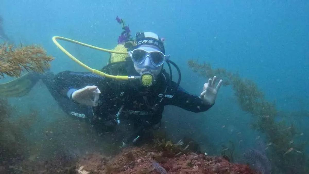 Un buceador, en plena inmersión en aguas de Cangas do Morrazo, en Pontevedra.