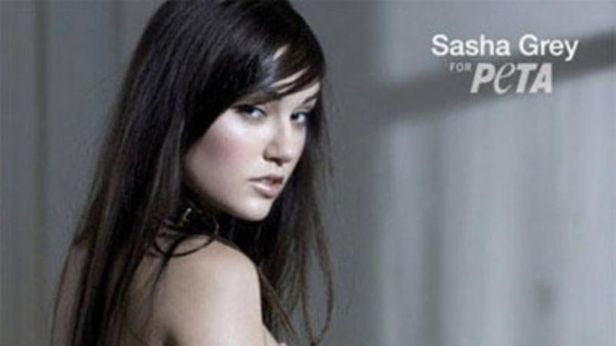 Sasha Grey, de estrella del porno a reina del grito