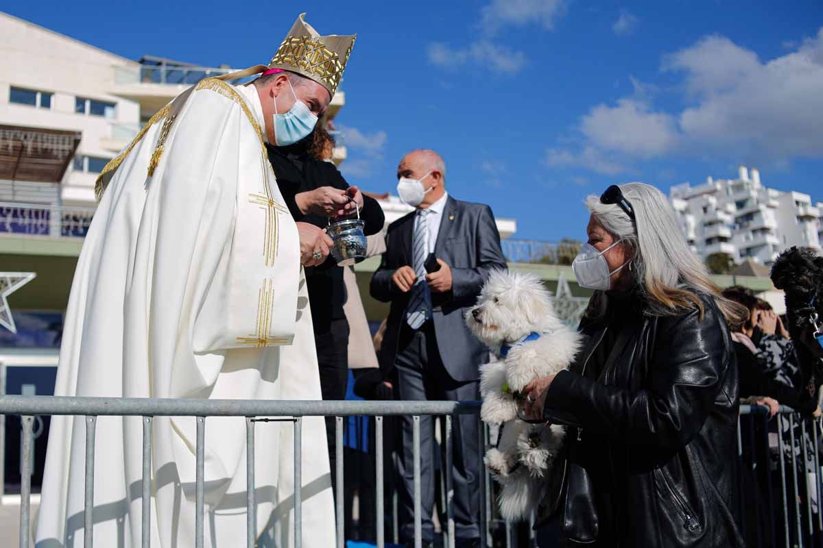 Bendición de animales en Sant Antoni