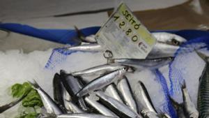 El peix ‘català’ no està de moda