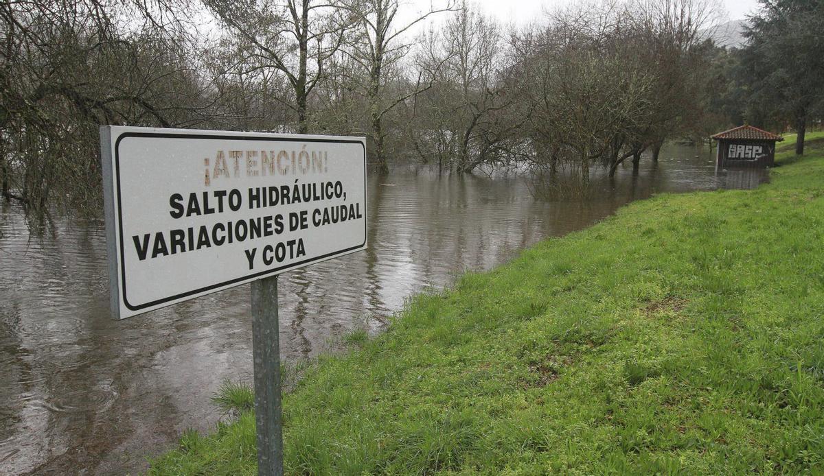 El río Miño en la zona del Muíño da Veiga, en Ourense ciudad, cubre árboles y paseos. | IÑAKI OSORIO