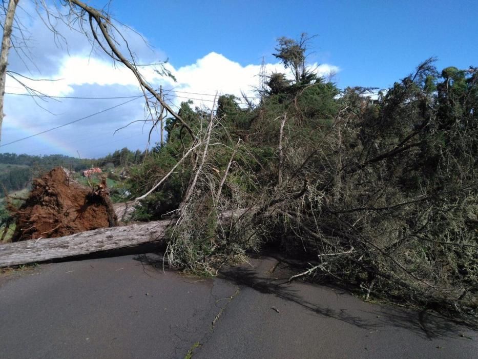 El mal tiempo causa desperfectos en carreteras de Gran Canaria