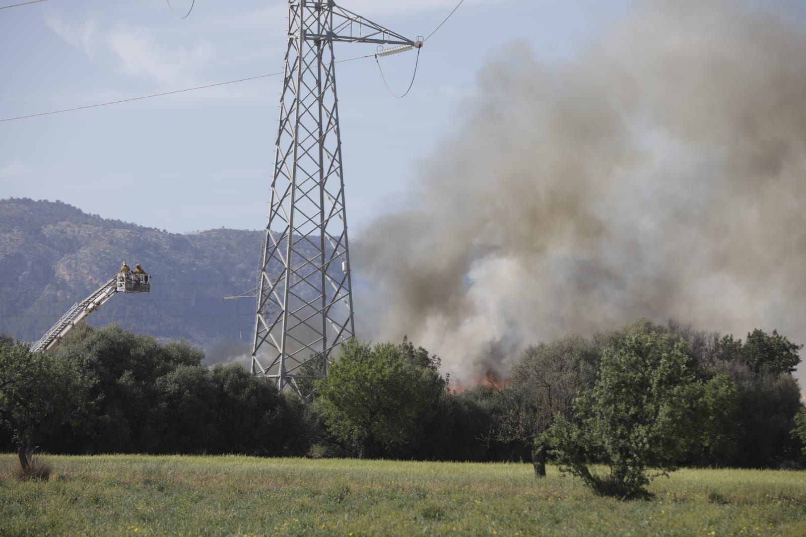 Alarma por un incendio junto a la incineradora de Son Reus