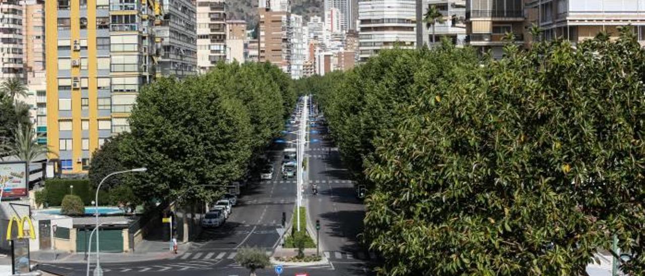 La avenida del Mediterráneo de Benidorm.