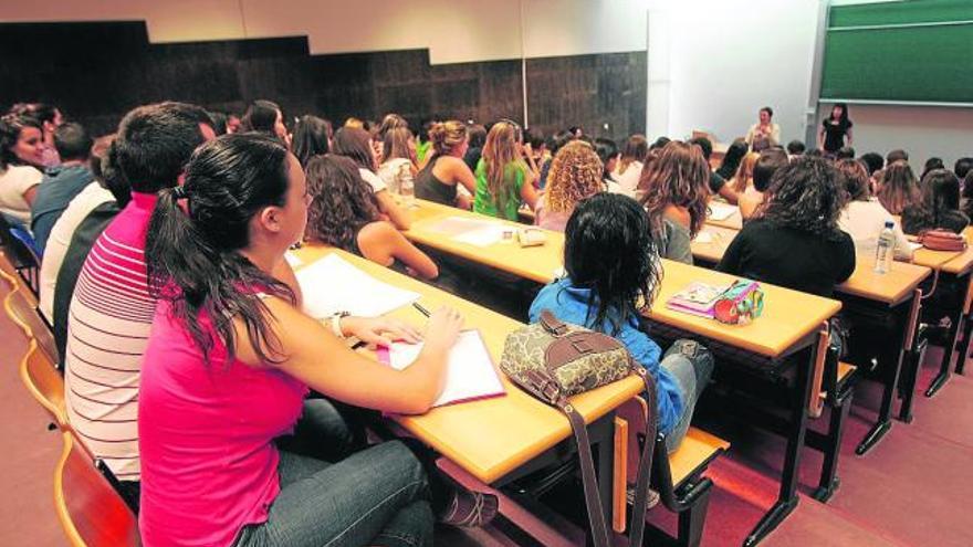 Estudiantes de la Universidad Miguel Hernández durante una clase en Elche, en foto de archivo.