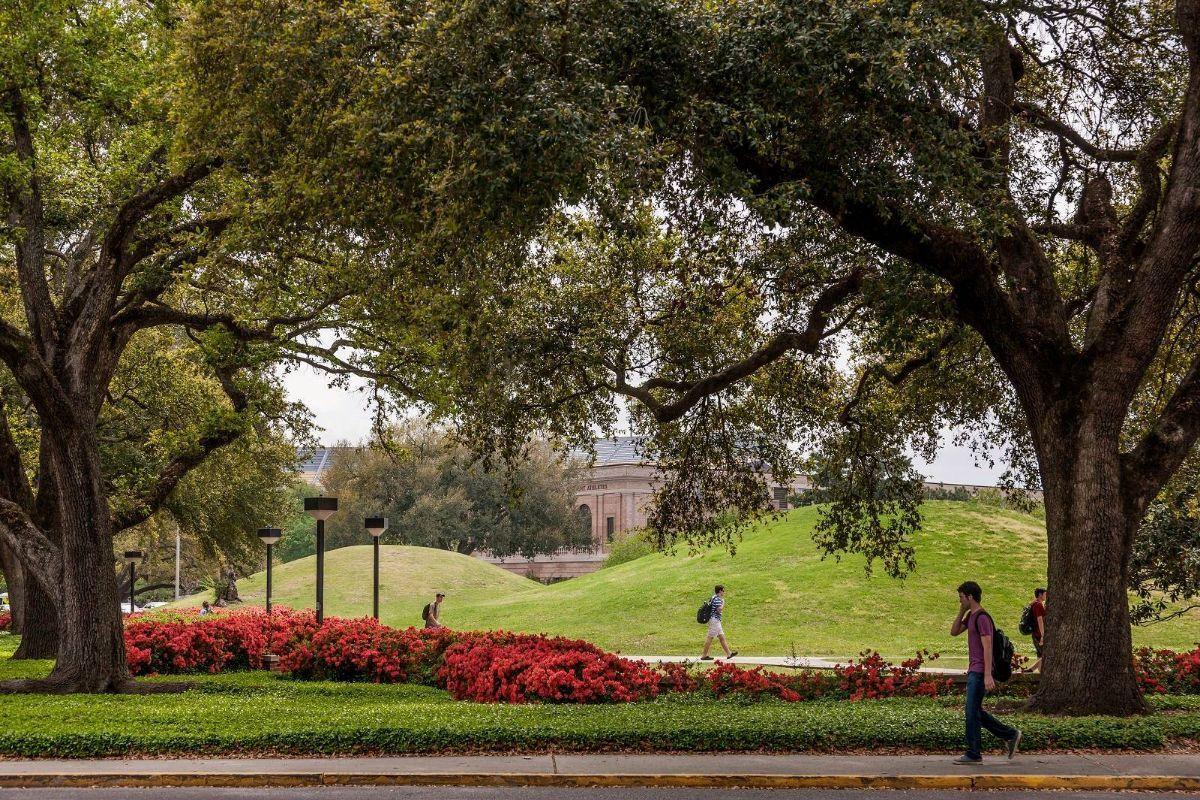 Los montículos se pueden encontrar en el extremo norte del campus de la Universidad Estatal de Luisiana, en Estados Unidos.