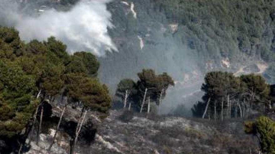 C&#039;s quiere formar a los desempleados  en tareas de prevención de incendios