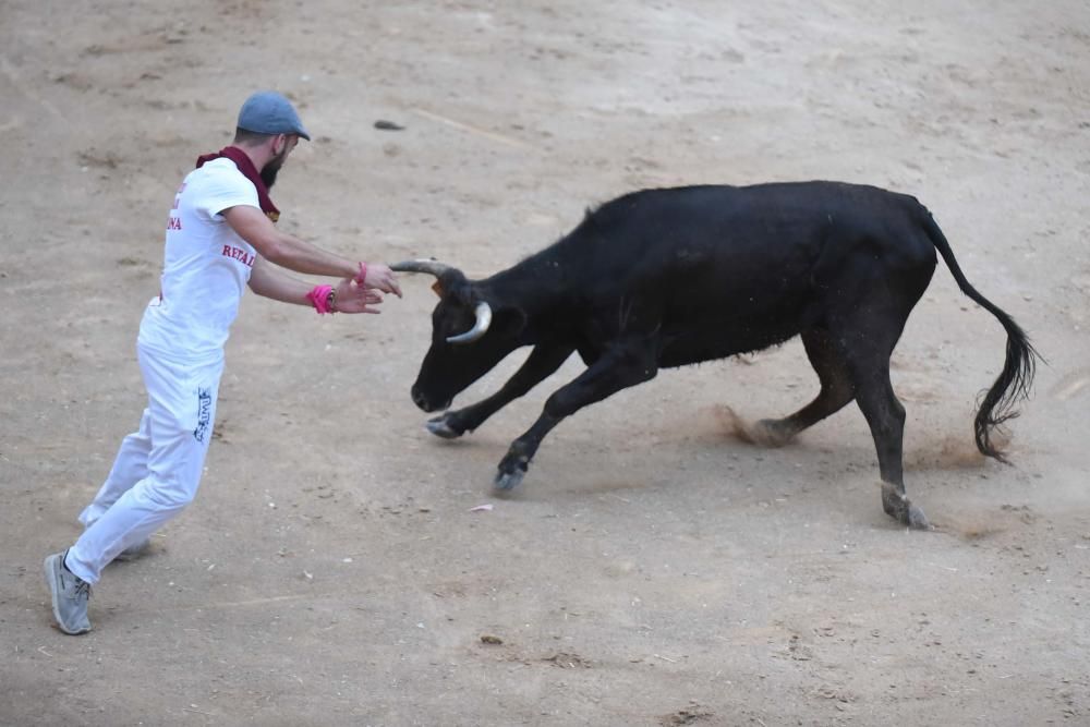 Corre de bou de Cardona