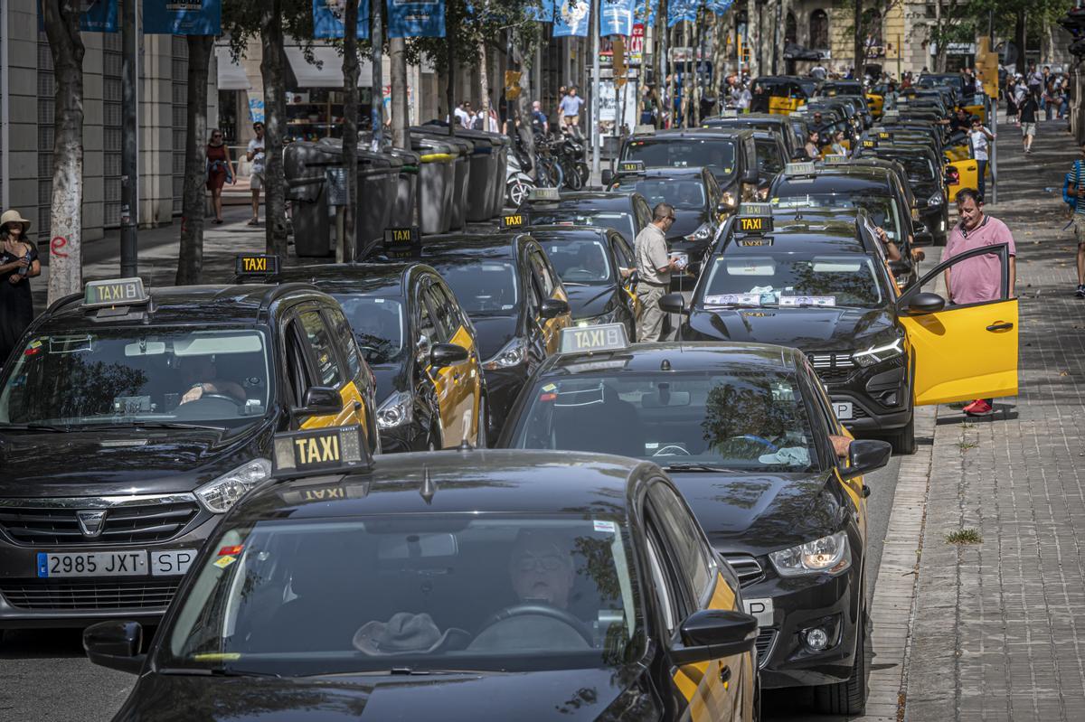 El sector del taxi volvió este martes a las movilizaciones