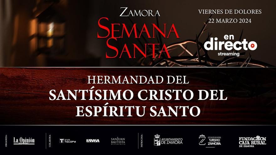 VIDEO | Vuelve a ver la Procesión del Espíritu Santo de Zamora 2024