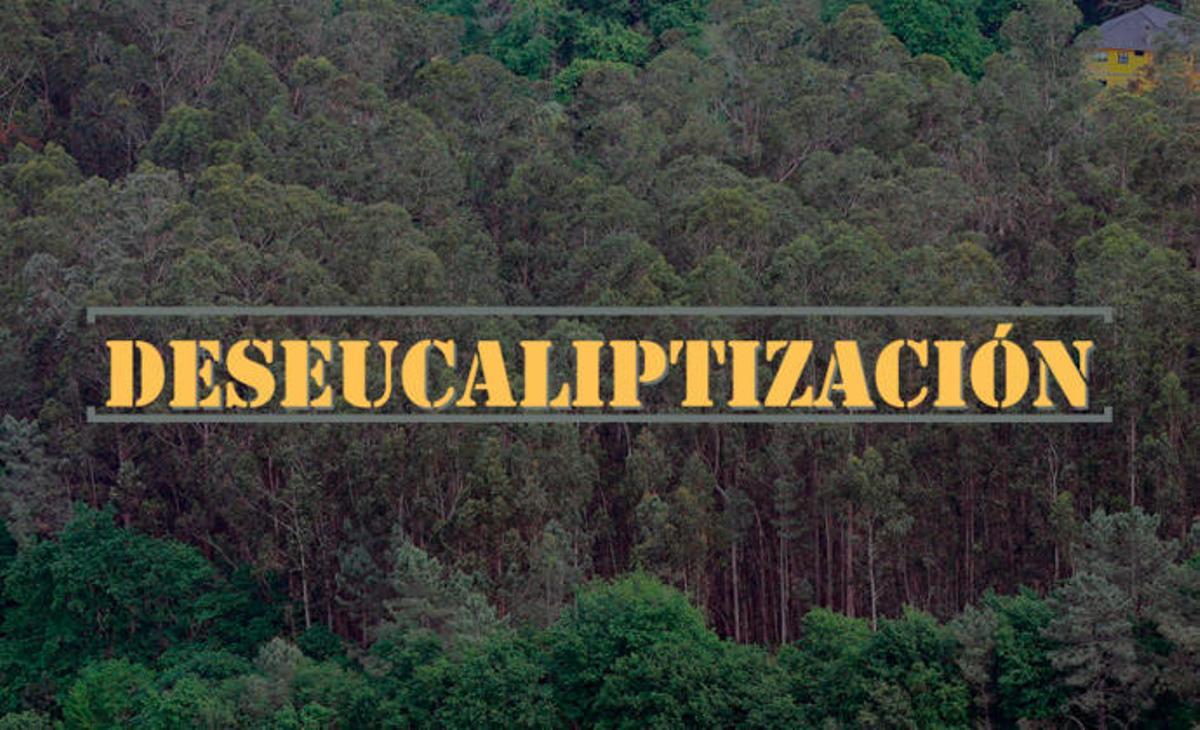 Deseucaliptización, palabra galega do ano