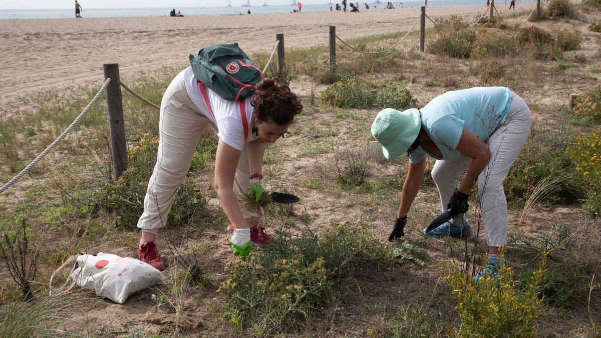 Las playas del área de Barcelona celebran un fin de semana de sensibilización ambiental
