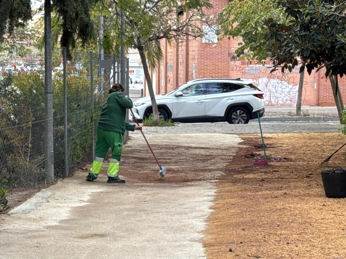 Trabajos de mantenimiento de zonas verdes.