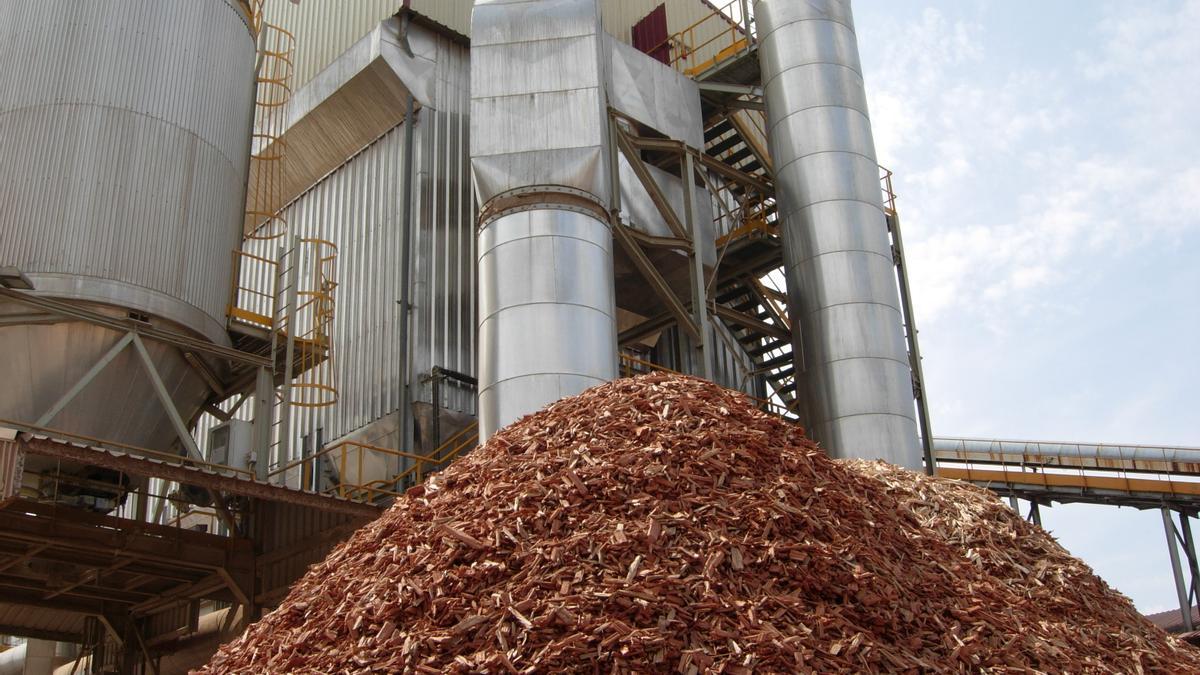 Uno de los proyectos incentivados está relacionado con la biomasa.