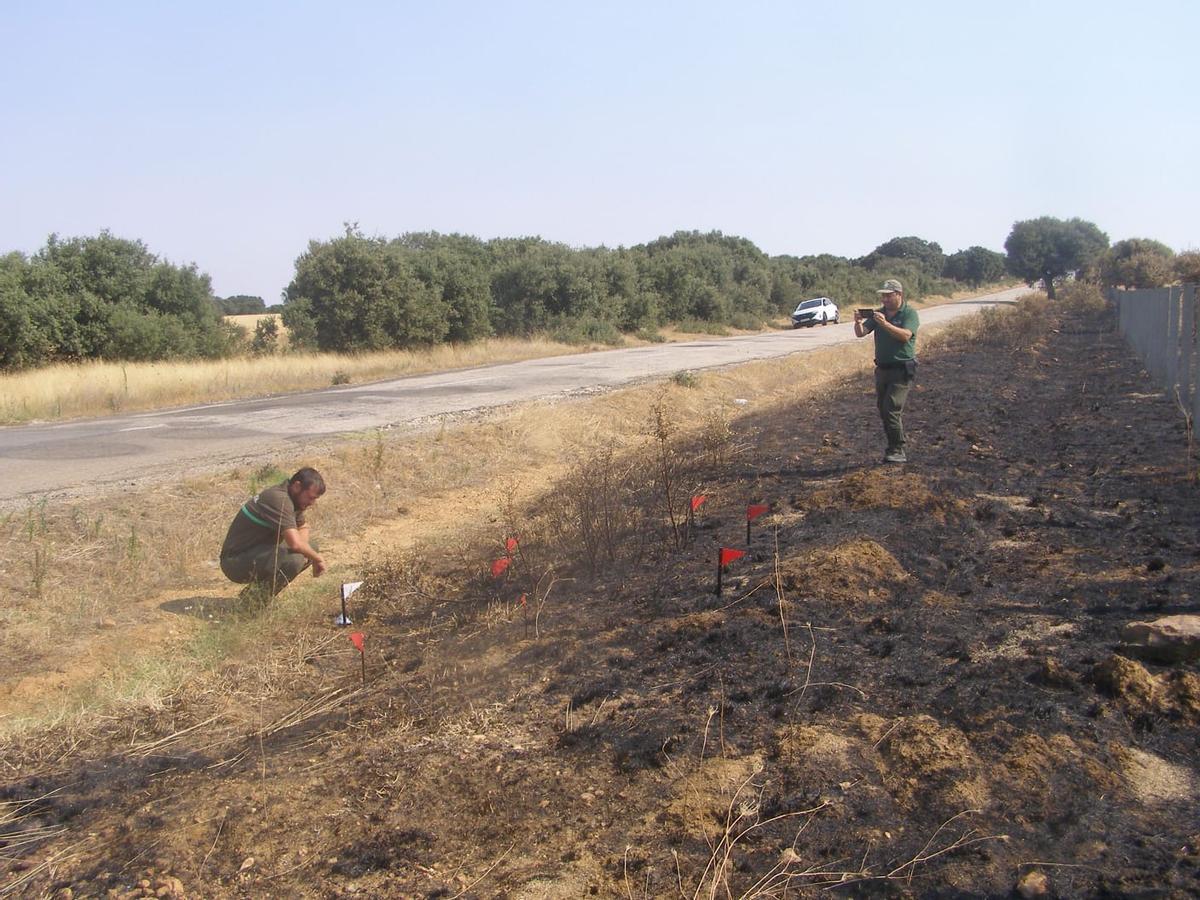 gentes Medioambientales y un Técnico de la BIIF durante la inspección ocular en la zona del incendio de La Samasa