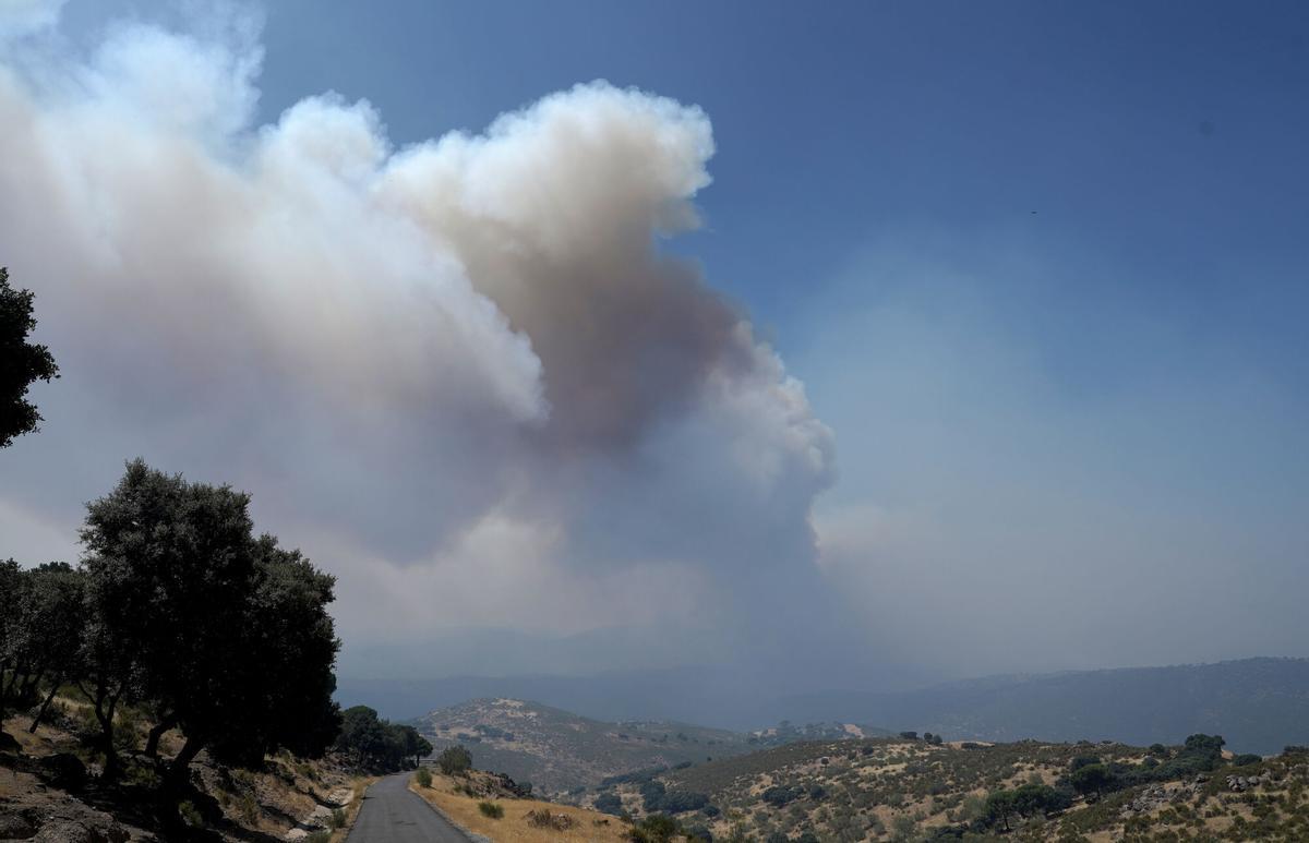 Incendio en la zona de Navas del Rey.