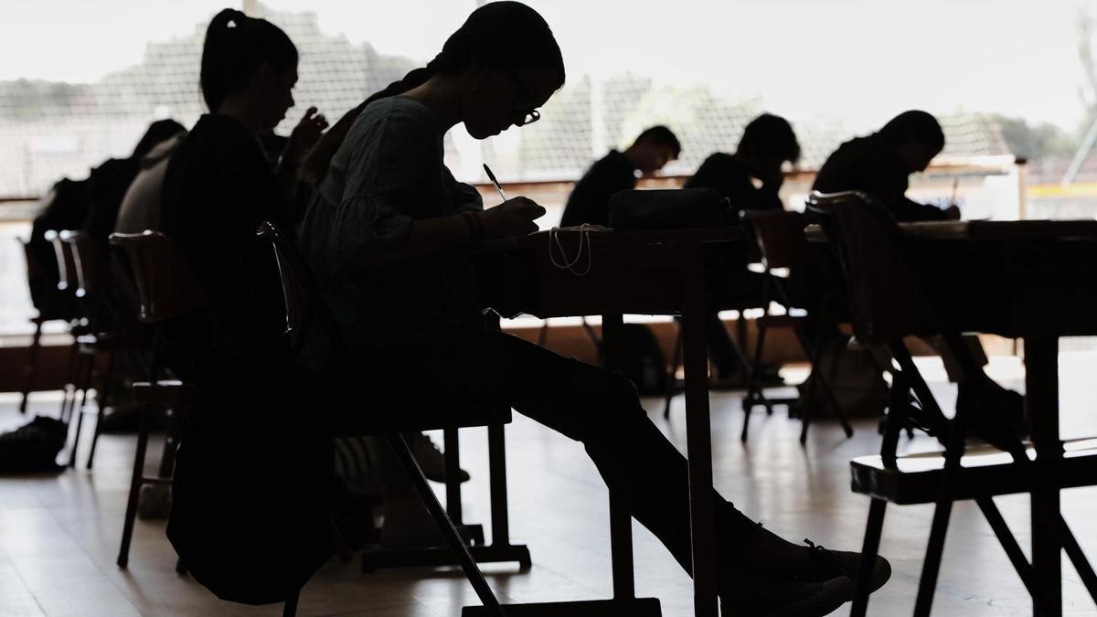Los estudiantes de huelga y movilizados en Castilla y León mañana contra el acoso escolar Los estudiantes de huelga y movilizados en Castilla y León mañana contra el acoso escolar