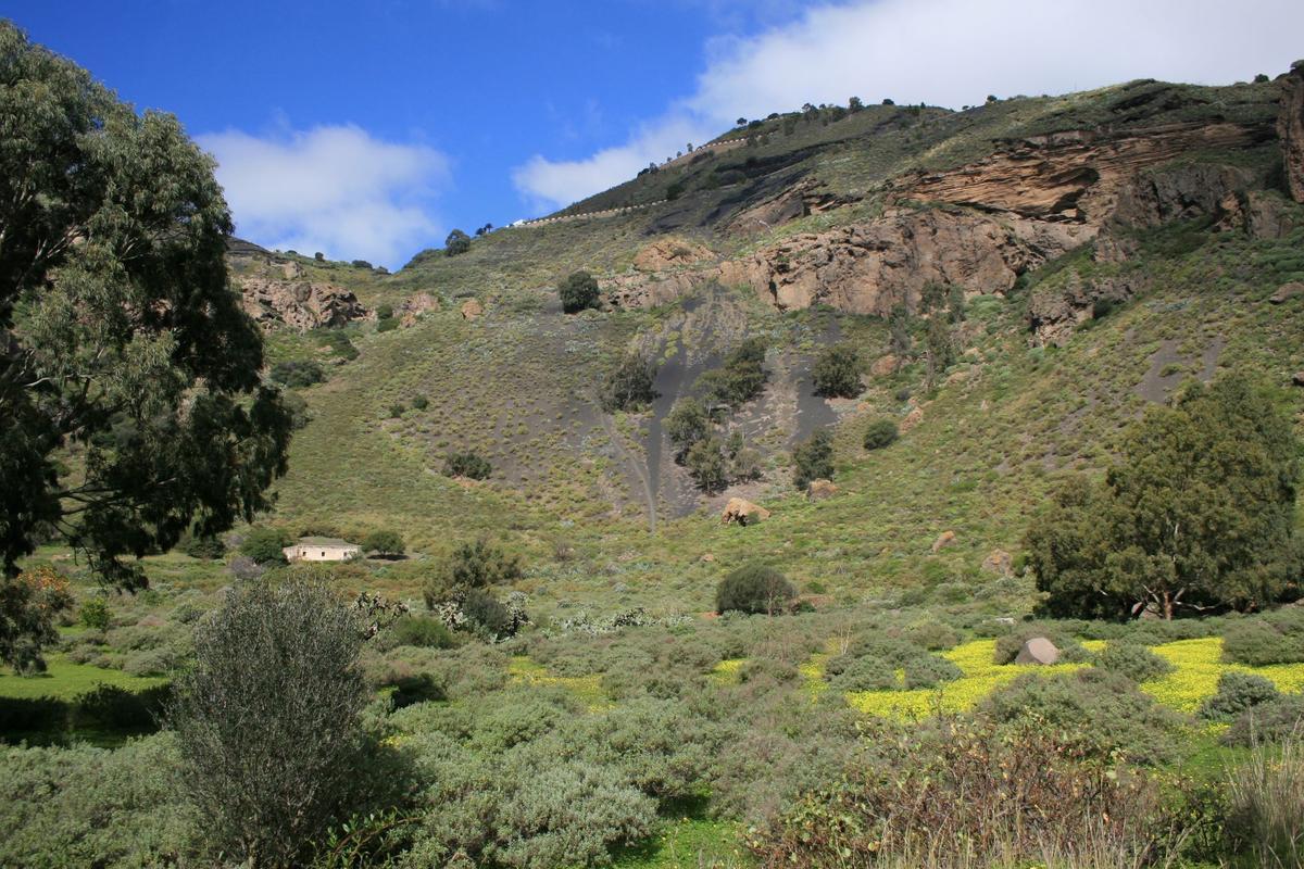 Pico de Bandama desde el fondo de la caldera, Santa Brígida