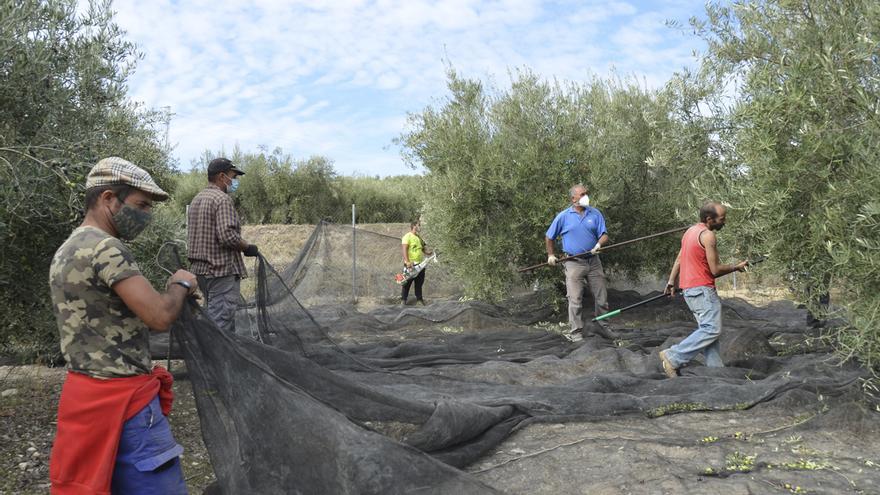 El convenio del campo encalla en la duración de la jornada