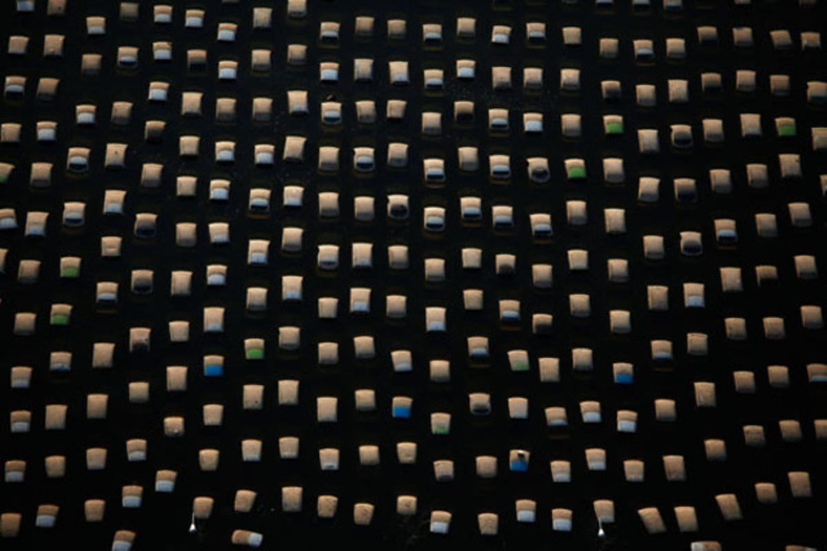 Els automòbils de la fàbrica d’Honda a la província d’Ayutthaya (Tailàndia) han quedat submergits després de les inundacions d’aquest mes.