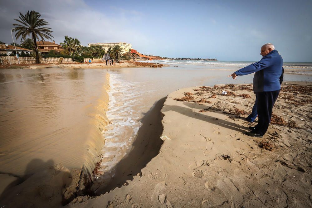 El Ayuntamiento de Orihuela ha valorado en más de medio millón de euros los destrozos provocados por la Borrasca Gloria en su litoral